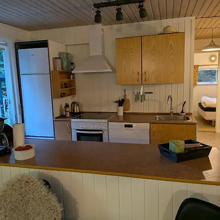 Feriehus In Lyngshuse In Kølkær Near